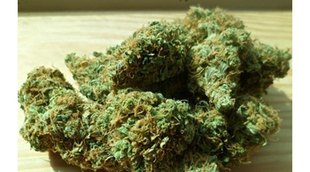 Разследващите намерили и иззели 53,31 грама марихуана СНИМКА: Pixabay