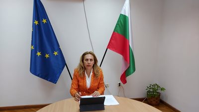 The Deputy Prime Minister and Minister of Tourism, Mariana Nikolova, called an extraordinary meeting online.