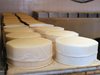 420 кг млечни продукти са иззети от нелегална мандра край Пазарджик
