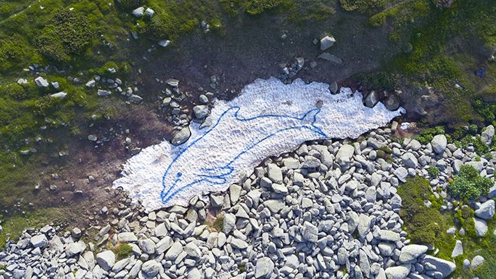 Рисунката на делфина е разположена на топяща се преспа много близо до Черни връх.