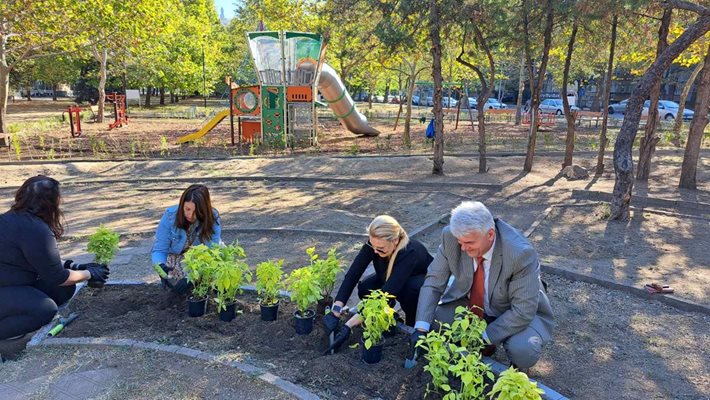 Със засаждане на цветя откриха детската площадка на бул. „Свобода“ в Пловдив (Снимки)