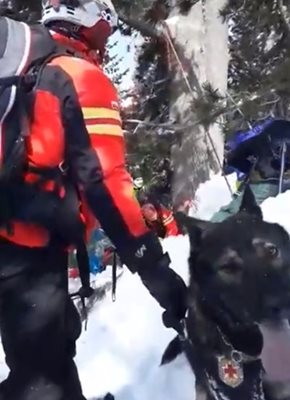 Планински спасители и кучета търсят затрупаните от лавината