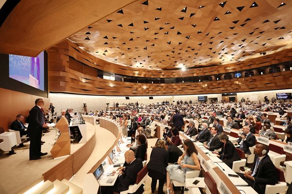 Генералният директор на СЗО Тедрос Гебрейесус бе преизбран от страните членки на 75-та Световна здравна асамблея в Женева, Швейцария. 