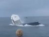 Кит нападна лодка, преобръщайки я в морето (Видео)