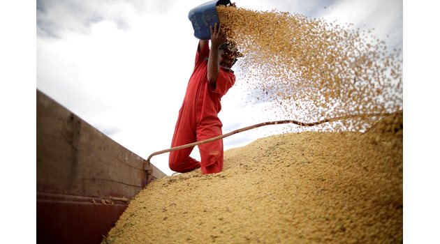 ГМО и палмово масло вместо жито и слънчоглед от Украйна