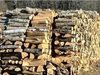 Четирима с товар незаконни дърва заловиха в Русенско