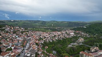 Пръскат срещу бълхи и кърлежи във Велико Търново и общината