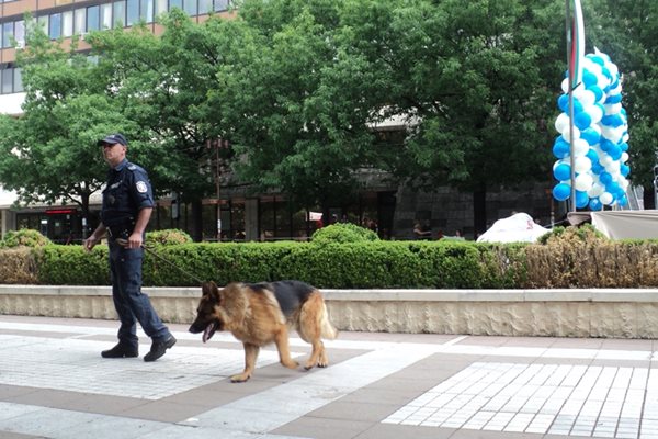 Полицейска охрана има на площада за церемонията на АУБГ, патрулираше и униформен с куче.