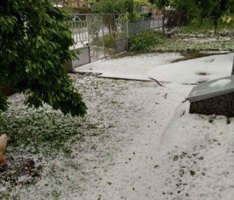 Градушката съсипа реколтата в село Бенковски.


СНИМКА: Архив.