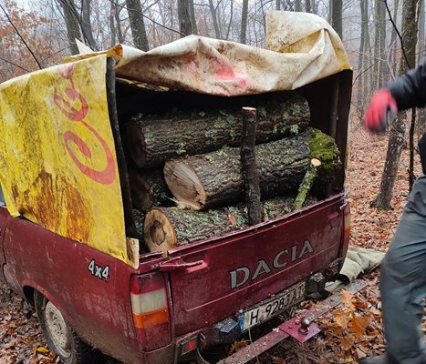 Поредният проверен от горските власти автомобил в Шуменско
Снимка: СИДП