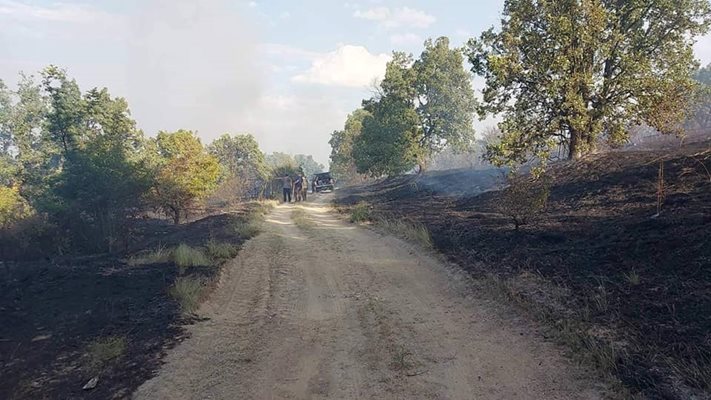 Пожарникари оглеждат местата, където бушува огнената стихия в община Калояново.