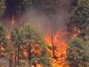 Рекордни жеги разпалиха огромен пожар в Калифорния (Видео)
