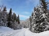 Вижте какво е състоянието на пътищата в страната към 11:00 часа