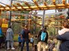 12 000 посетили зоопарка в София, за да видят новия дом на маймуните