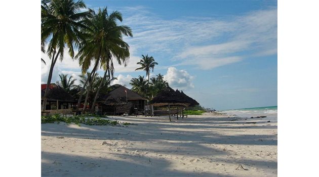С палми и бял пясък привличат плажовете на Занзибар.