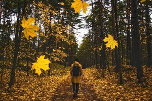 Екскурзия за един ден срещу есенната депресия