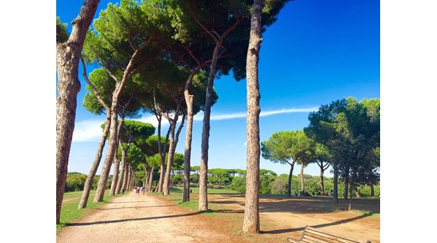 “Вила Памфили” е най-големият парк в Рим. СНИМКИ: Авторката