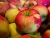 БАБХ спря внос на 22 тона ябълки и над 1 тон зеленчуци от Македония и Гърция
