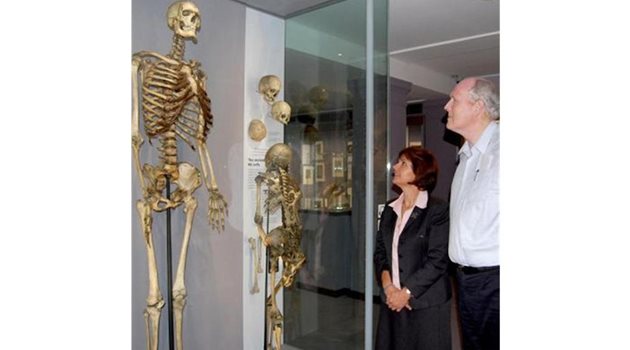 НАХОДКА: Проф. Марта Корбонитс и Брендан Холанд, най-високият ирландец днес, разглеждат скелета на великана Чарлз Бирн в музея на Английския кралски колеж по хирургия.