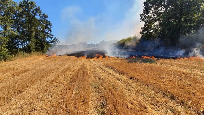 Пловдивски огнеборци потушиха пожар край село Динк