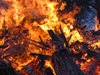 2 000 души са блокирани в село в Португалия заради горските пожари
