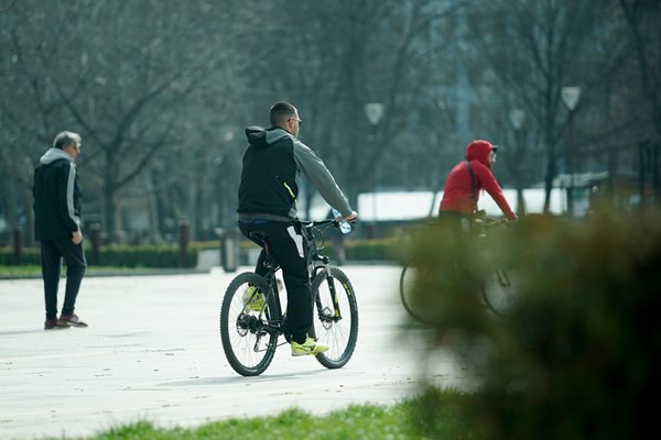 Колоездач бил глобен, защото минавал по улица, разделяща парк / Снимка: Пламен КОДРОВ