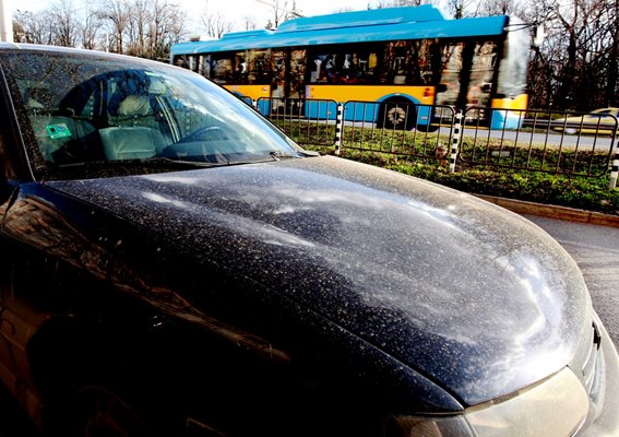 Някои коли в София ще трябва минат през автомивка, каза климатологът проф. Георги Рачев.

