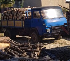 Камионите с незаконни дърва.