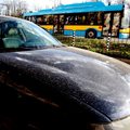Някои коли в София ще трябва минат през автомивка, каза климатологът проф. Георги Рачев.

