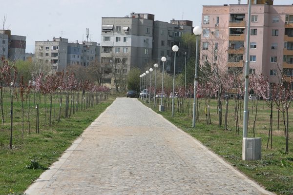 Така изглежда алеята, около която е залесено в новата част на "Лаута".