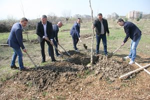 Баби берат лапад, кметове до тях залесяват в "Тракия"