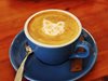 Най-голямото котешко кафене в Европа отвори врати