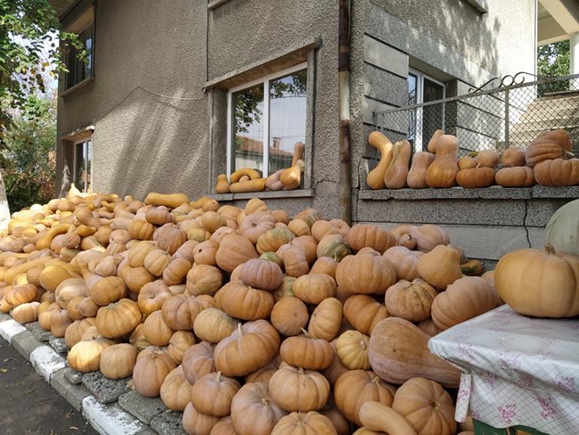 Дори по прозорците са наредени тикви.