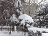 Читателите снимат зимата: Градинката при "Кристал" в София под снежната постеля