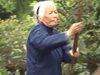 93-годишна китайка демонстрира майсторски кунг фу умения (Видео)