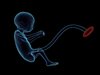 Сензация: Учени откриха, че способността за учене на езици се развива още в утробата