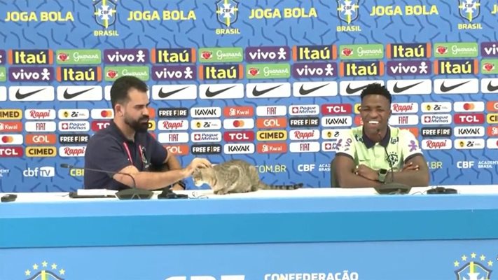 Животното се качи на масата, докато бразилският футболист Винисиус говореше пред журналисти Кадър: Туитър/beINSPORTSUSA