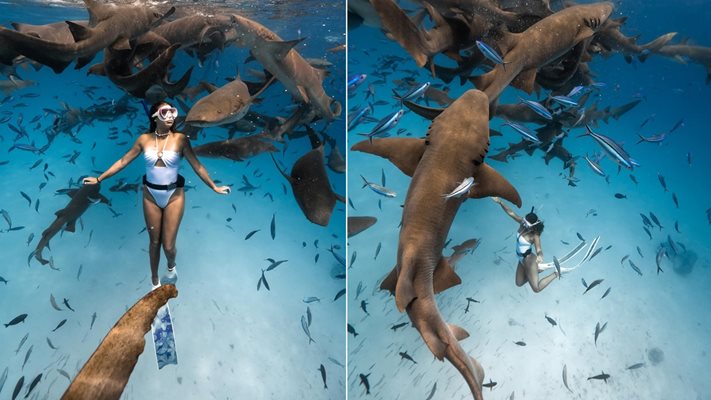 БГ моделка плува с акули