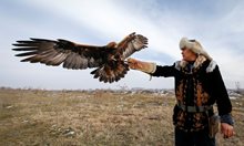 Ловец със златен орел, вдига ръка за кацане на опитомената си птица в област Алмати, Казахстан