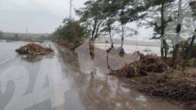 Жертвите на проливните дъждове в индийския щат Керала вече са 21
