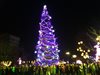 Пищна заря в полунощ в Благоевград, дълги хора и концерт на площада