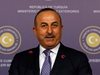 Чавушоглу: Макрон няма да забие клин в партньорството между Анкара и Москва