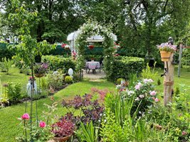 Чудни кътове, цветя и птици в двора на Таня в Германия