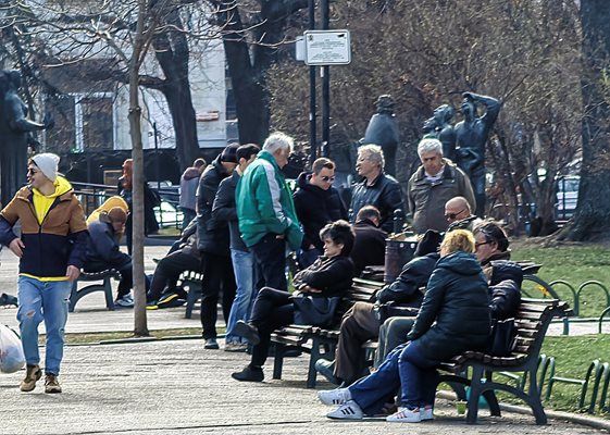 Пенсионерите у нас са малко над 2 млн. 

СНИМКА РУМЯНА ТОНЕВА