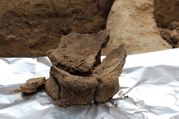 През 2017 г. археолози намериха в Грузия най-старите известни досега съдове за правене и съхраняване на вино. Глинените делви, които са на възраст близо 8000 г., още съдържали химически следи от ферментирала алкохолна напитка, направена от грозде.