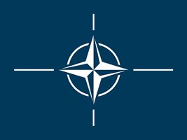 Турската инвазия предизвиква криза в НАТО, но изключването й е малко вероятно