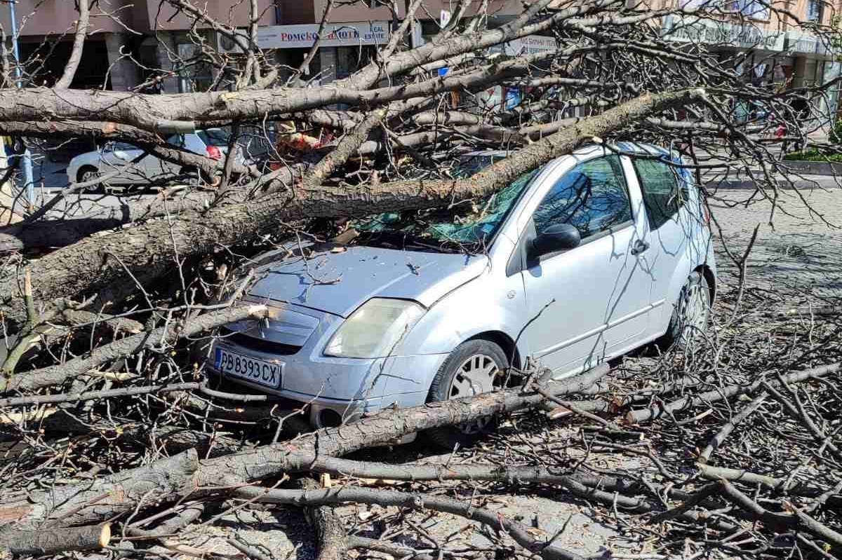 Пожарната: Ураганът в Пловдив смачка 44 автомобила (Снимки)