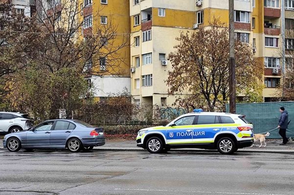 Патрулка на бул. "Цветан Лазаров" в "Дружба" - 2 / Снимки: Добромир ДОБРЕВ