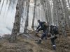 Започна пожароопасният сезон за горите, взимат засилени мерки за сигурност

