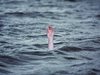 Баба се удавила в отводнителен канал в Монтанско